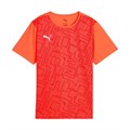 Купить оптом Puma Футболка Спорт. Назнач. Indrise Graphic Jersey Jr, 66026196 66026196 - фото 101357