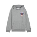 Купить оптом Puma Джемпер Hoopstellations Hoodie, 68897603 68897603 - фото 101500