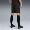 Купить оптом Puma Шорты Kingtouch Shorts, 66029501 66029501 - фото 102256