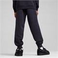 Купить оптом Puma Брюки Class Sweatpants Tr, 68580016 68580016 - фото 102405 Купить оптом Puma Брюки Class Sweatpants Tr, 68580016 68580016 - фото 102405