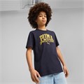 Купить оптом Puma Футболка Class Graphic Tee, 68581416 68581416 - фото 102407 Купить оптом Puma Футболка Class Graphic Tee, 68581416 68581416 - фото 102407