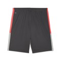 Купить оптом Puma Шорты Individualligatrainingshorts, 65951910 65951910 - фото 103275