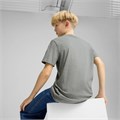 Купить оптом Puma Футболка Ess No. 1 Logo Tee, 68490603 68490603