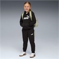 Купить оптом Puma Комплект (толстовка, Брюки) Ess No.1 Logo Sweat Suit, 68523801 68523801 - фото 103302 Купить оптом Puma Комплект (толстовка, Брюки) Ess No.1 Logo Sweat Suit, 68523801 68523801 - фото 103302
