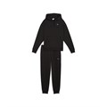 Купить оптом Puma Комплект (толстовка, Брюки) Loungewear Sweat Suit Fl Cl, 68934601 68934601 - фото 103359 Купить оптом Puma Комплект (толстовка, Брюки) Loungewear Sweat Suit Fl Cl, 68934601 68934601 - фото 103359