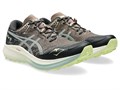 Купить оптом Кроссовки Asics Fuji Lite 5 1011B889-020 TAUPE GREY/COLD MOSS Male 1011B889-020