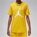 Купить оптом Футболка х/б Nike Air Jordan Jumpman SS Crew CJ0921-752 CJ0921-752