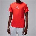 Купить оптом Футболка х/б Nike Air Jordan Jumpman Dri-FIT SS Crew CW5190-604 CW5190-604