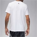 Купить оптом Футболка х/б Nike Air Jordan Sport SS Dri-FIT GFX Crew FN5974-100 FN5974-100