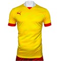Купить оптом Футболка игровая Puma FCAT Away Jersey 77099302 77099302