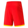Купить оптом Шорты игровые Puma FCAT Shorts 77099710 77099710