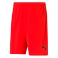 Купить оптом Шорты игровые Puma FCAT Shorts 77099710 77099710