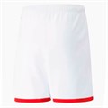 Купить оптом Шорты игровые Puma QAC FCAV Shorts 77144202 SR 77144202