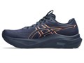 Купить оптом Кроссовки Asics GT-2000 14 BLACK/WHITE 1011C056-001 1011C056-001