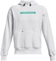 Купить оптом Толстовка Under Armour DNA HOODIE 1366438-100 1366438-100