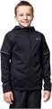 Купить оптом Толстовка Under Armour AF Storm FZ Hoodie 1379285-001 1379285-001