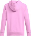 Купить оптом Толстовка Under Armour Rival Fleece Big Logo Hdy 1379501-638 1379501-638