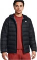 Купить оптом Куртка Under Armour LEGEND DOWN HOODED Куртка 1385837-001 1385837-001