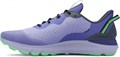 Купить оптом Кроссовки Under Armour U Sonic TR 3027764-500 3027764-500