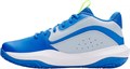 Купить оптом Кроссовки Under Armour Lockdown 7 3028512-453 3028512-453