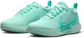 Купить оптом Кроссовки Nike Кроссовки NIKE W ZOOM COURT PRO HC DV3285-300 DV3285-300