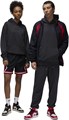 Купить оптом Худи JORDAN AIR JDN WM FLC HOODIE (Jordan) FJ1966-045 FJ1966-045