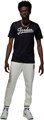 Купить оптом Футболка Jordan M J FLT MVP WM SS CREW (Jordan) FN5958-010 FN5958-010