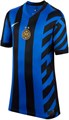 Купить оптом Джерси Nike INTER JERSEY SS HOME JR FN9143-440 FN9143-440