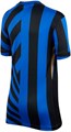 Купить оптом Джерси Nike INTER JERSEY SS HOME JR FN9143-440 FN9143-440