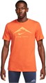 Купить оптом Футболка Nike M NK DF TEE TRAIL LOGO FQ3914-809 FQ3914-809