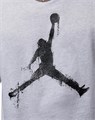 Купить оптом Футболка Nike M J BRK COL JUMPMAN SS CREW HQ8925-051 HQ8925-051