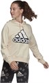 Купить оптом Толстовка adidas W BLUV Q1 HD HC9179 HC9179