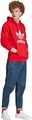 Купить оптом Худи adidas TREFOIL HOODY IM4497 IM4497