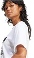 Купить оптом Футболка adidas Adicolor Trefoil Tee IR9534 IR9534