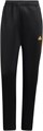 Купить оптом Брюки adidas W TIRO NP PT IW6799 IW6799