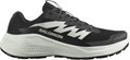 Купить оптом Кроссовки Salomon ALPHAGLIDE W L47801500 L47801500