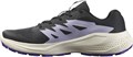 Купить оптом Кроссовки Salomon ALPHAGLIDE W L47801800 L47801800