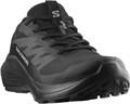 Купить оптом Кроссовки Salomon ALPHAGLIDE GTX L47802100 L47802100
