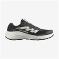 Купить оптом Кроссовки Salomon ALPHAGLIDE L47801000 L47801000