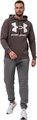 Купить оптом Толстовка Under Armour Rival Fleece Big Logo HD 1357093-176 1357093-176