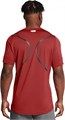 Купить оптом Футболка Under Armour HG Armour Ftd Graphic SS 1383320-840 1383320-840