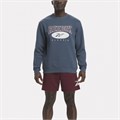 Купить оптом Толстовка Reebok ARCHIVE ESSENTIALS HOODIE 100036873 100036873
