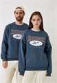 Купить оптом Толстовка Reebok ARCHIVE ESSENTIALS HOODIE 100036873 100036873