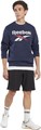 Купить оптом Толстовка Reebok RI BIG STACKED LOGO CREW ex-H54795 100050277 100050277