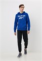 Купить оптом Толстовка Reebok RI BIG STACKED LOGO HOOD 100050289 100050289