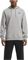 Купить оптом Толстовка Reebok IDENTITY SMALL LOGO FLEECE HOODIE 100202875 100202875