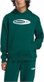 Купить оптом Толстовка Reebok RI BRAND PROUD HOODIE 100215124 100215124
