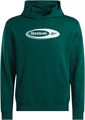 Купить оптом Толстовка Reebok RI BRAND PROUD HOODIE 100215124 100215124