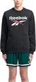 Купить оптом Джемпер Reebok IDENTITY BIG LOGO FLEECE CREW 100216162 100216162