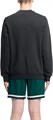 Купить оптом Джемпер Reebok IDENTITY BIG LOGO FLEECE CREW 100216162 100216162